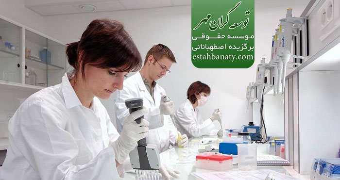 برنامه کارشناسی فناوری نانو و میکرو در سوئیس