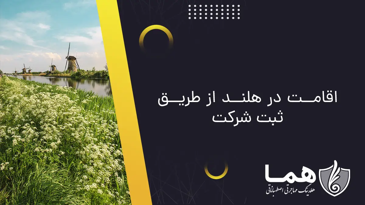 اقامت در هلند از طریق ثبت شرکت