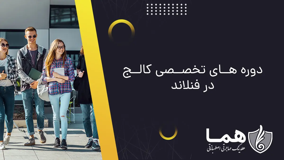 دوره های تخصصی کالج در فنلاند