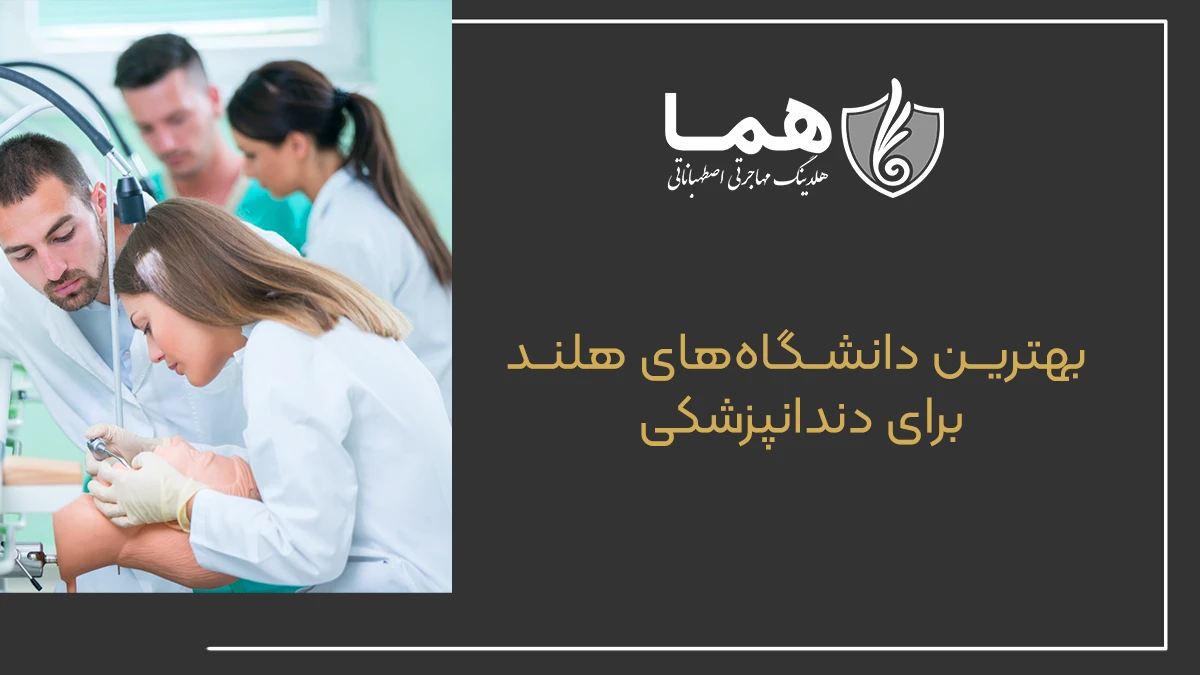 بهترین دانشگاه‌های هلند برای دندانپزشکی