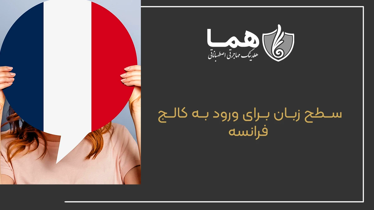 سطح زبان برای ورود به کالج‌ فرانسه