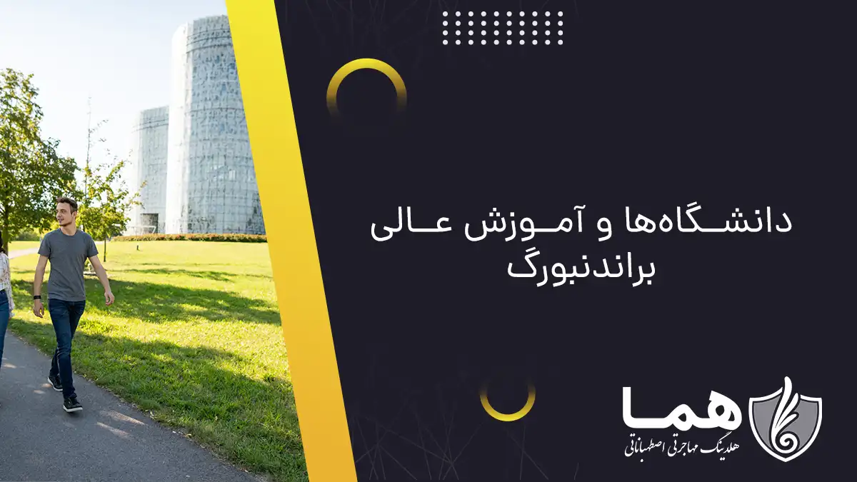 دانشگاه‌ها و آموزش عالی براندنبورگ