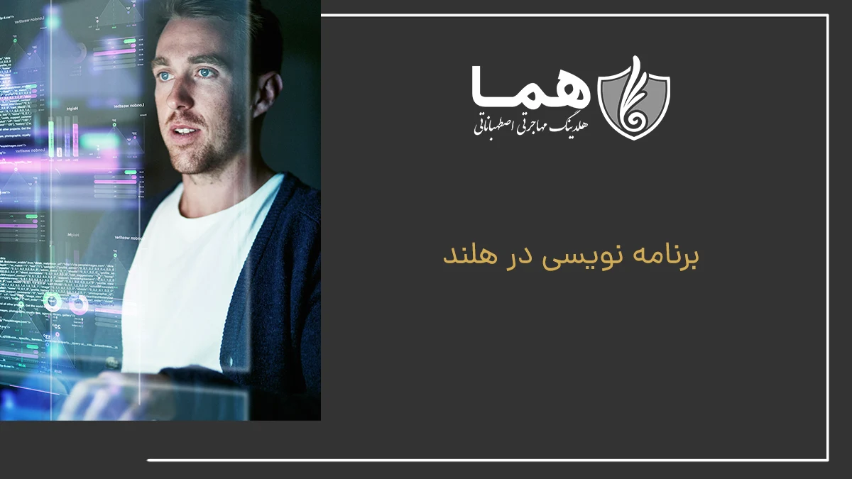 برنامه نویسی در هلند
