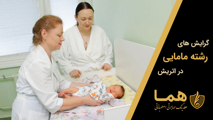 گرایش های رشته مامایی در اتریش